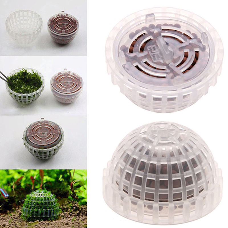 Aquarium Plant Live - 【B】Aquatic Pet Supplies Decorations Aquarium Moss