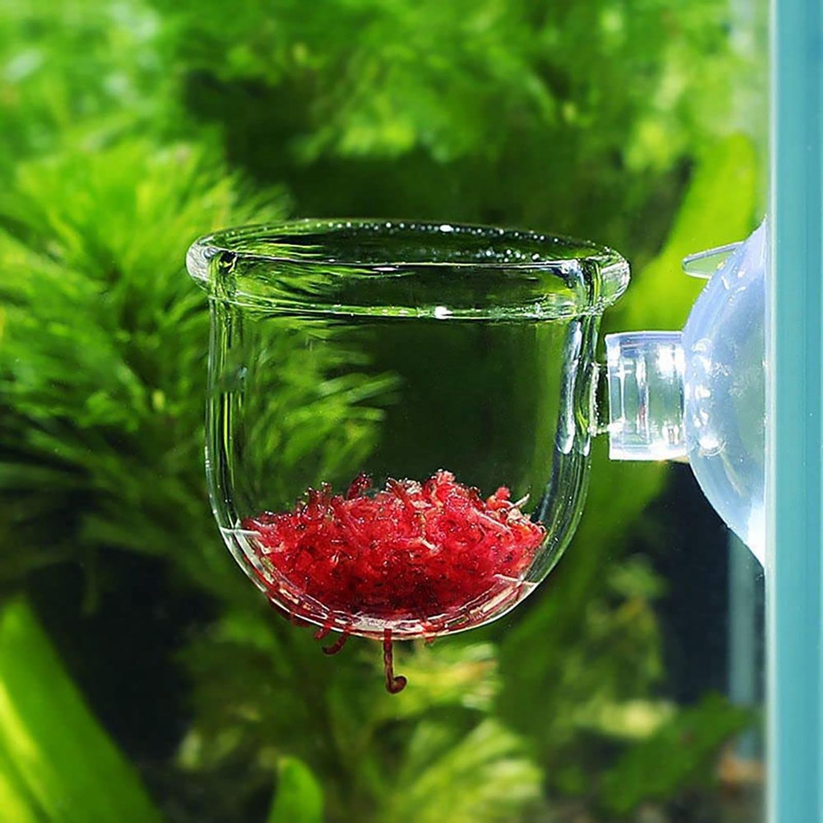 Aquarium Plant Pot Glass Cylin - Aquarium Plant Seeds recension och pris