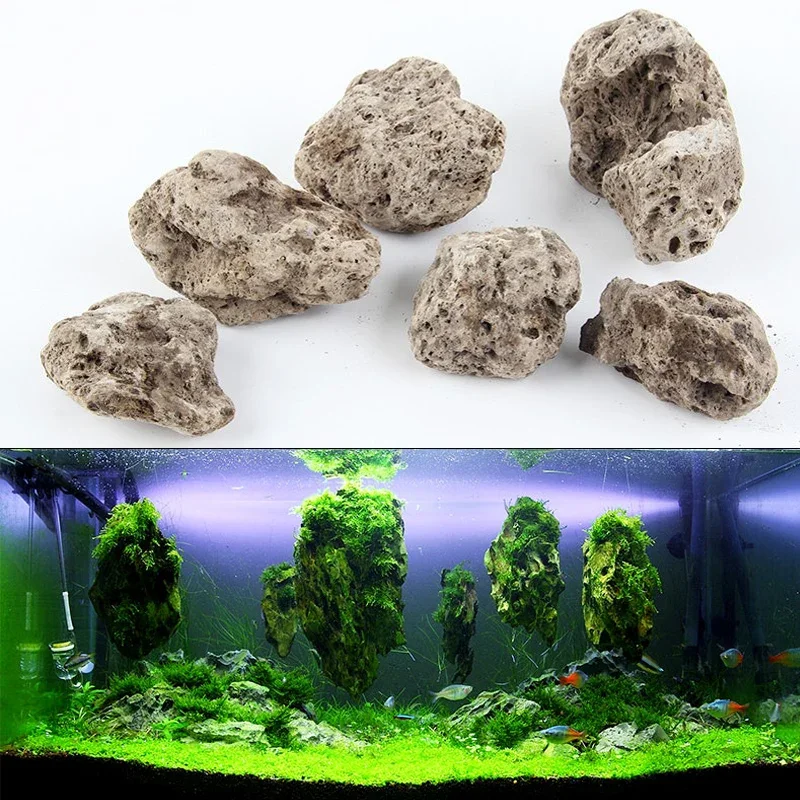 3pcs/lot Avatar Floating Real  - Aquarium Plants For Sale recension och pris