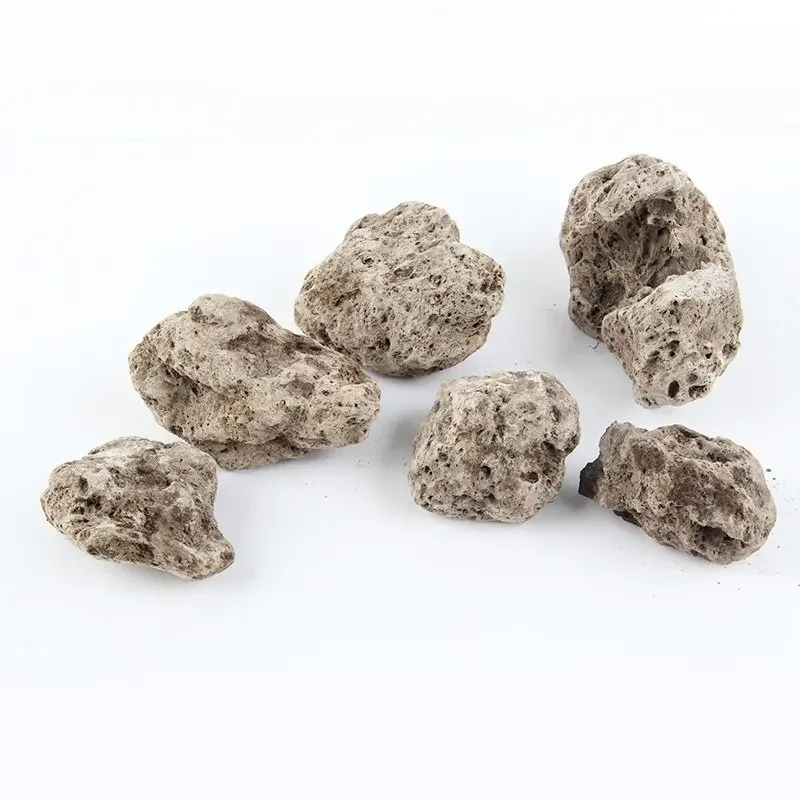 3pcs/lot Avatar Floating Real  - Aquarium Plants For Sale recension och pris