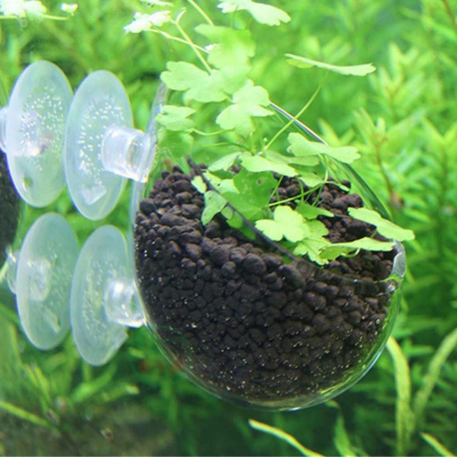 Aquarium Plant Holder Glass Aq - Planted Aquarium Maintenance recension och pris