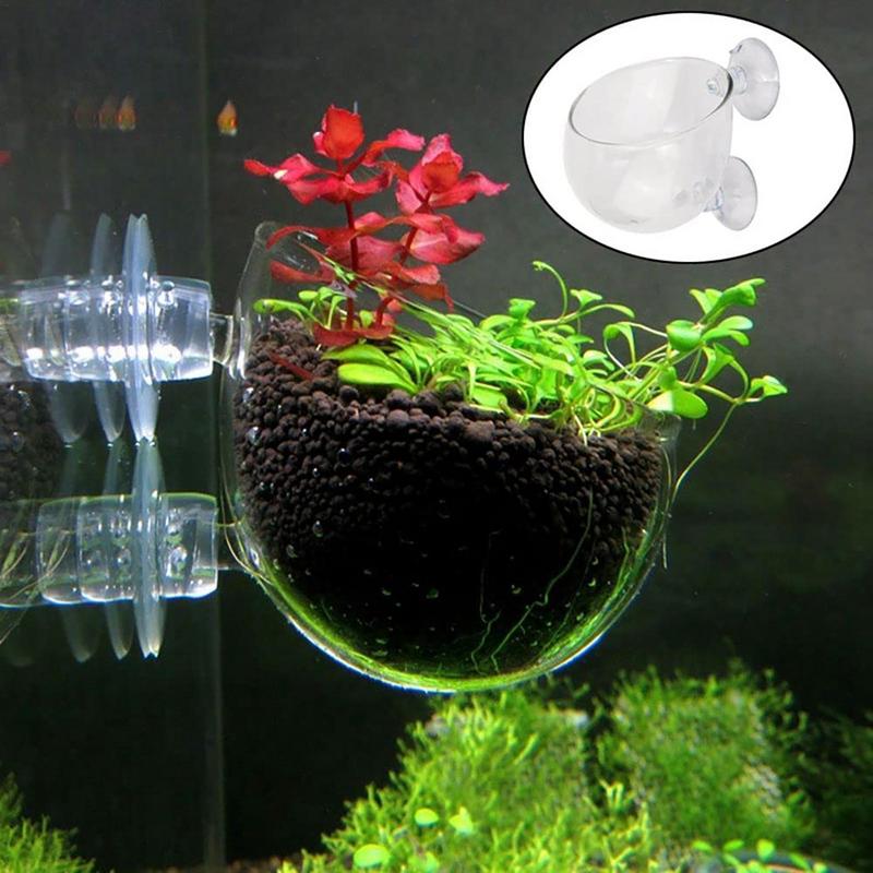 Acrylic Aquatic Plant Cup Aqua - Aquarium Plant Seeds recension och pris
