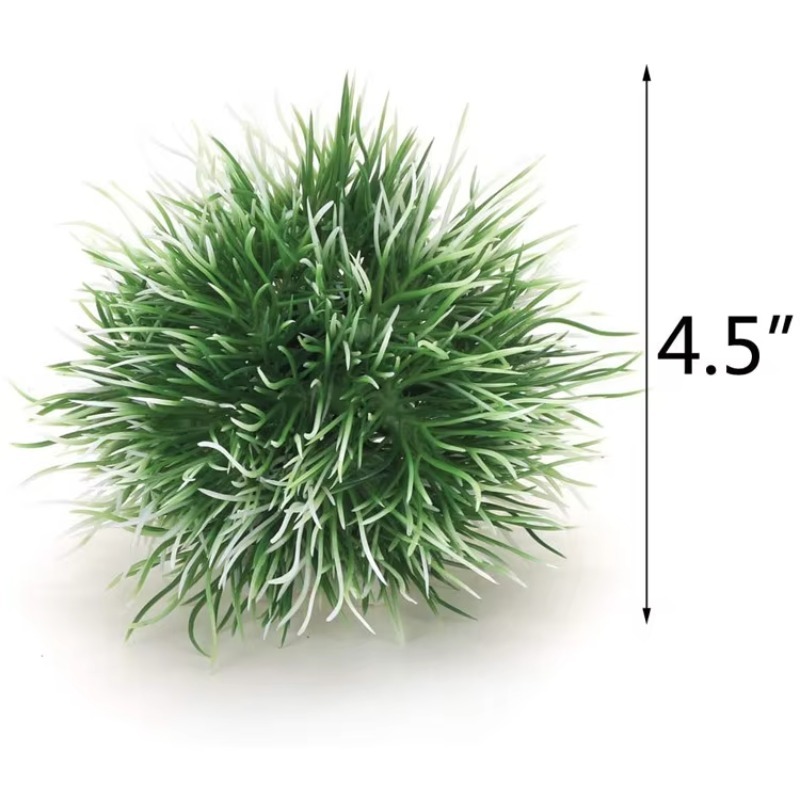 10pcs Hot Selling New Arrival  - Aquarium Plants For Sale recension och pris