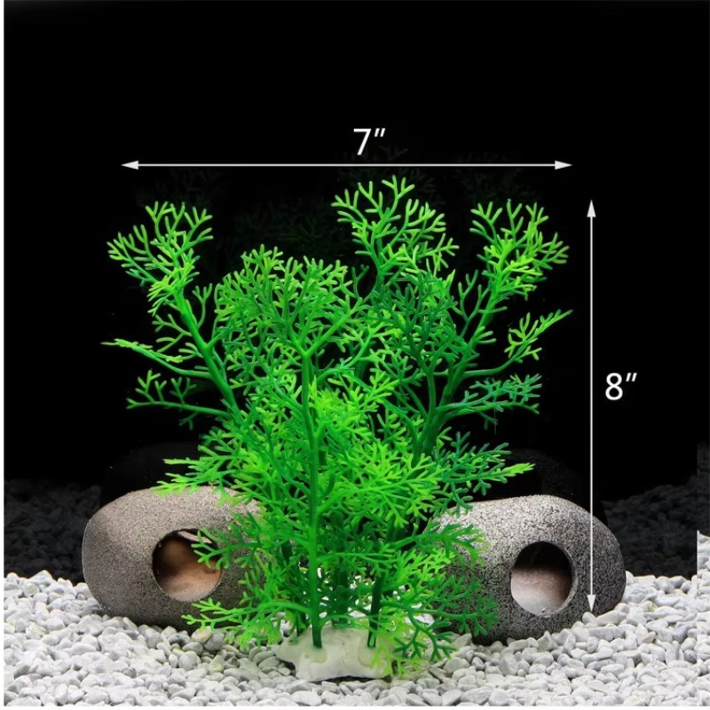 10pcs Hot Selling New Arrival  - Aquarium Plants For Sale recension och pris