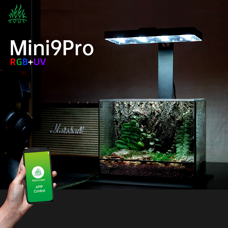 Hot Sale Mini9pro Nano Terrari - Aquarium Plants For Sale recension och pris