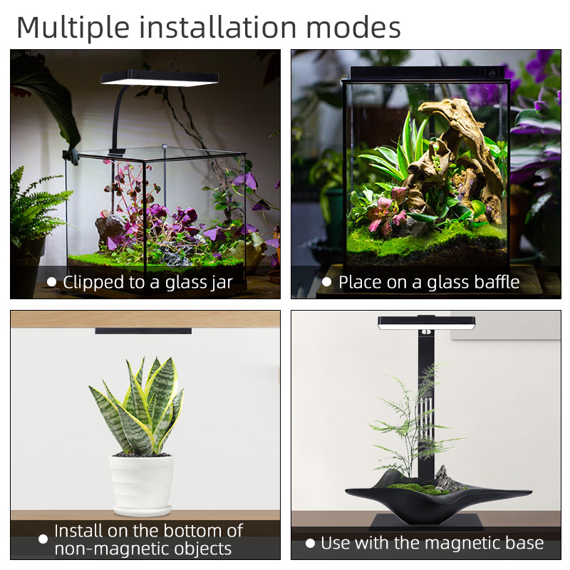 Hot Sale Mini9pro Nano Terrari - Aquarium Plants For Sale recension och pris