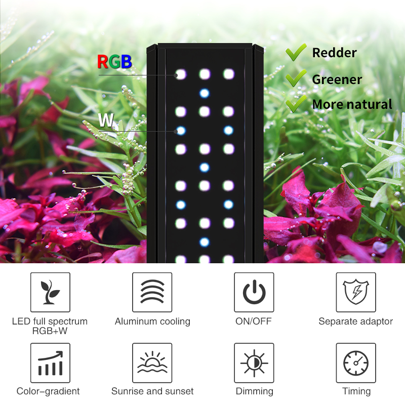 ZXY Hot Sale WEEKAQUA V400 WRG - Aquarium Plants For Sale recension och pris