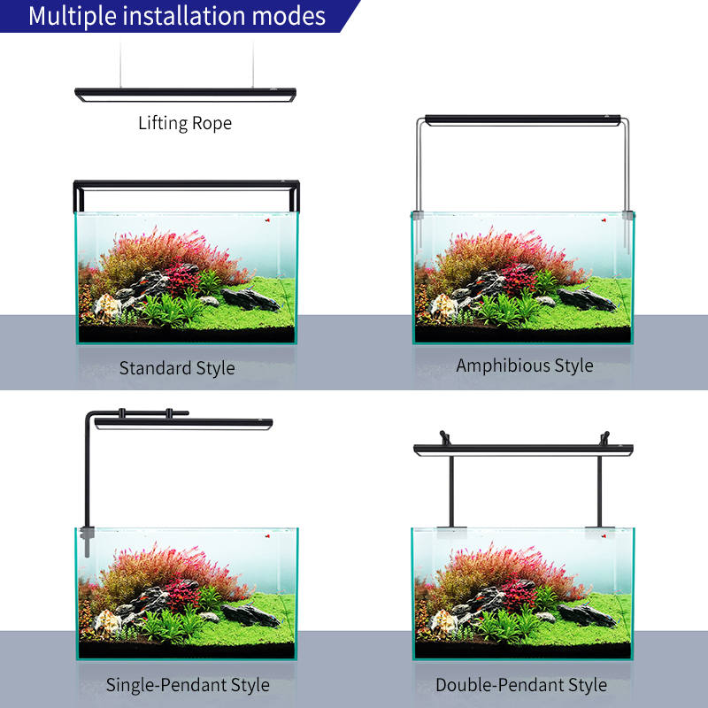 ZXY Hot Sale WEEKAQUA V400 WRG - Aquarium Plants For Sale recension och pris