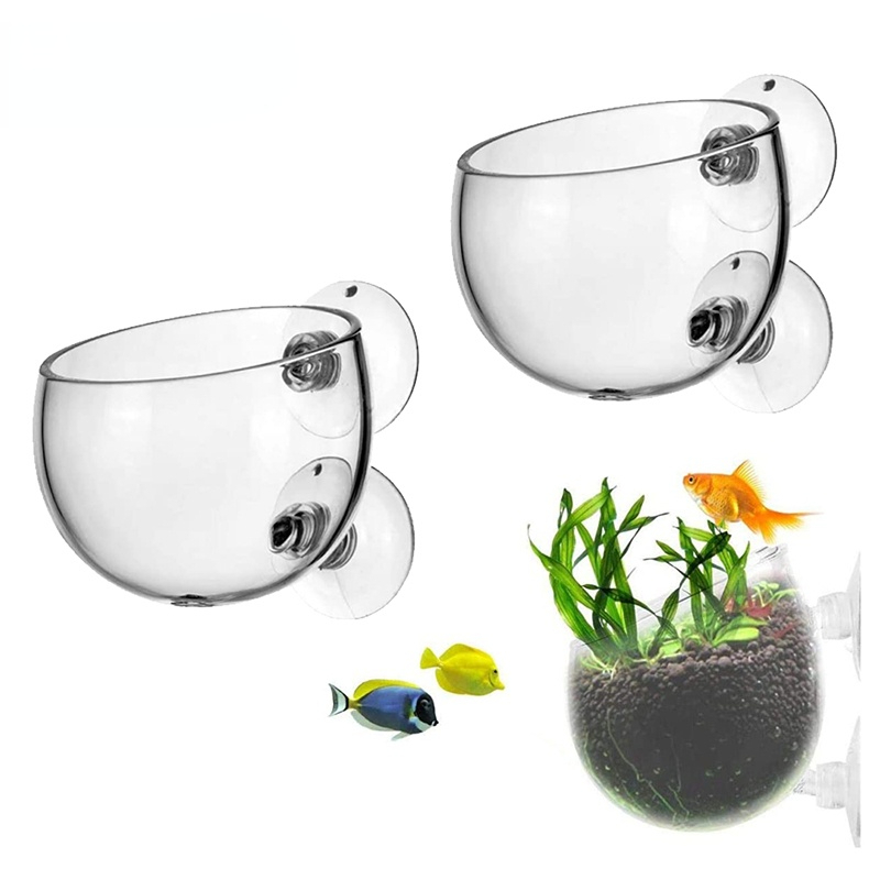 New Aquarium Plant Pot Glass C - Aquarium Plant Seeds recension och pris