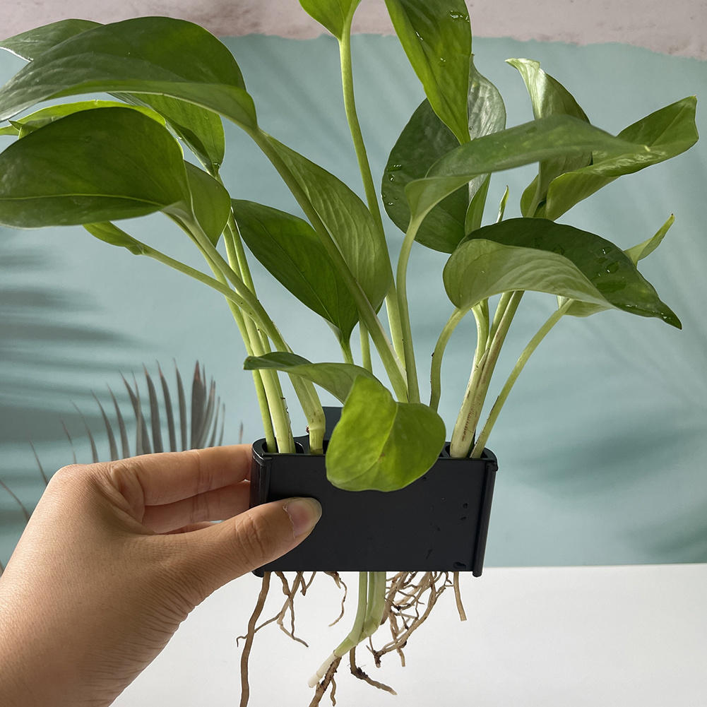 Aquarium Plant Holder with Han - Planted Aquarium Maintenance recension och pris