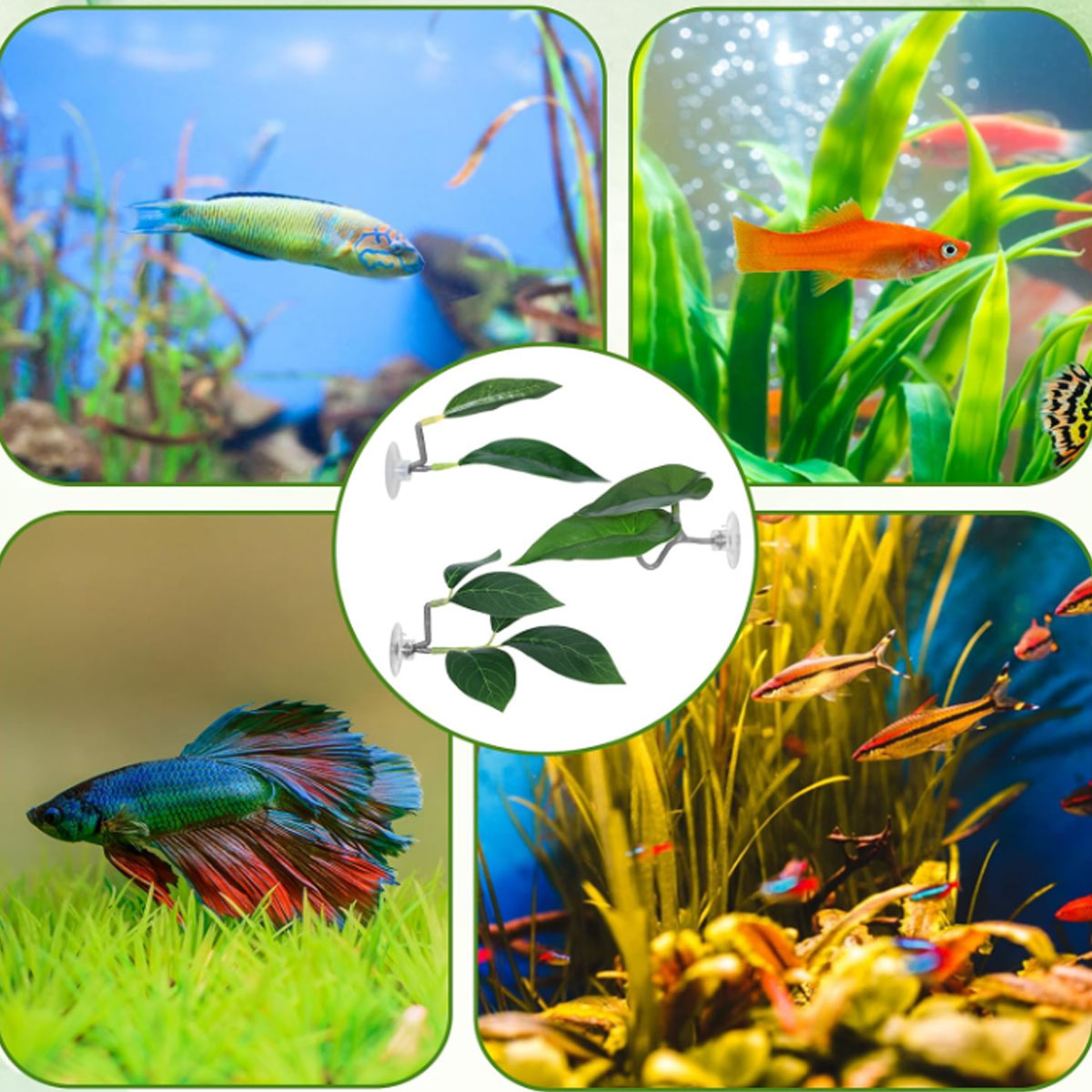 1 PC Betta Fish Hammock Soft A - Aquarium Plant Design recension och pris