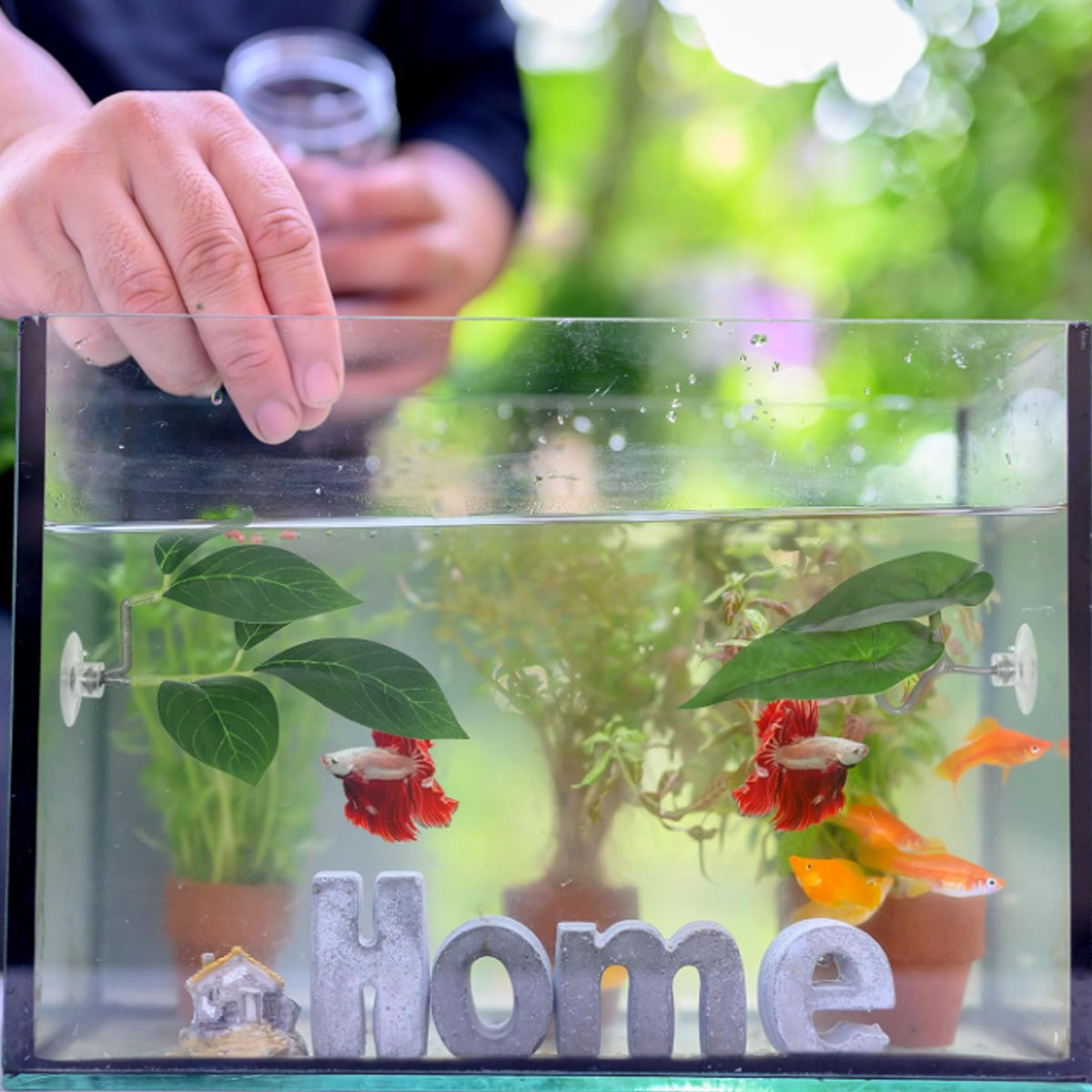 1 PC Betta Fish Hammock Soft A - Aquarium Plant Design recension och pris