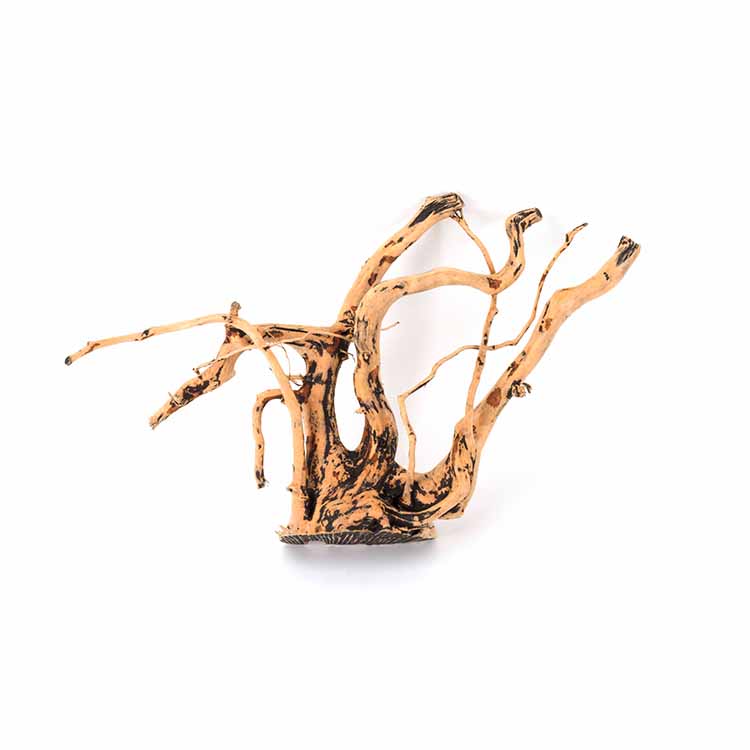 Wholesale Hot Sale Natural Dec - Aquarium Plants For Sale recension och pris