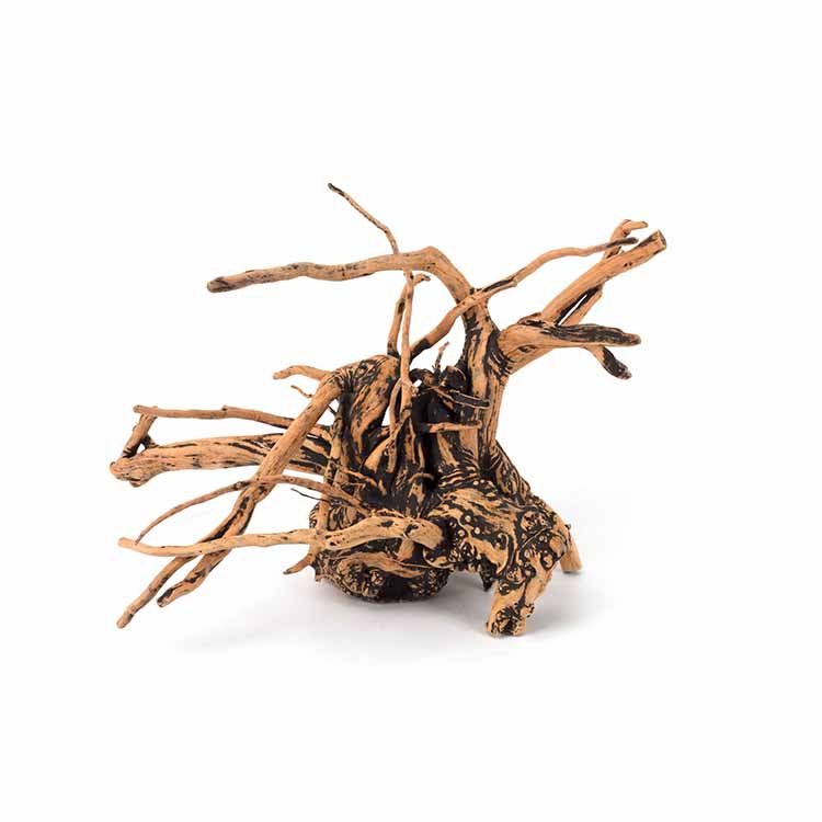 Wholesale Hot Sale Natural Dec - Aquarium Plants For Sale recension och pris