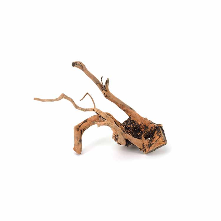 Wholesale Hot Sale Natural Dec - Aquarium Plants For Sale recension och pris