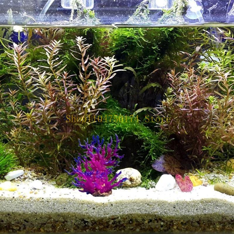 Artificial Water Plant Aquariu - Aquarium Plants For Sale recension och pris