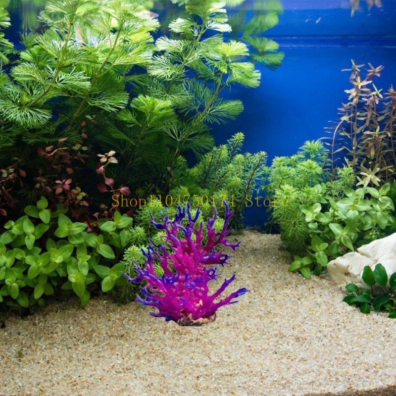 Artificial Water Plant Aquariu - Aquarium Plants For Sale recension och pris