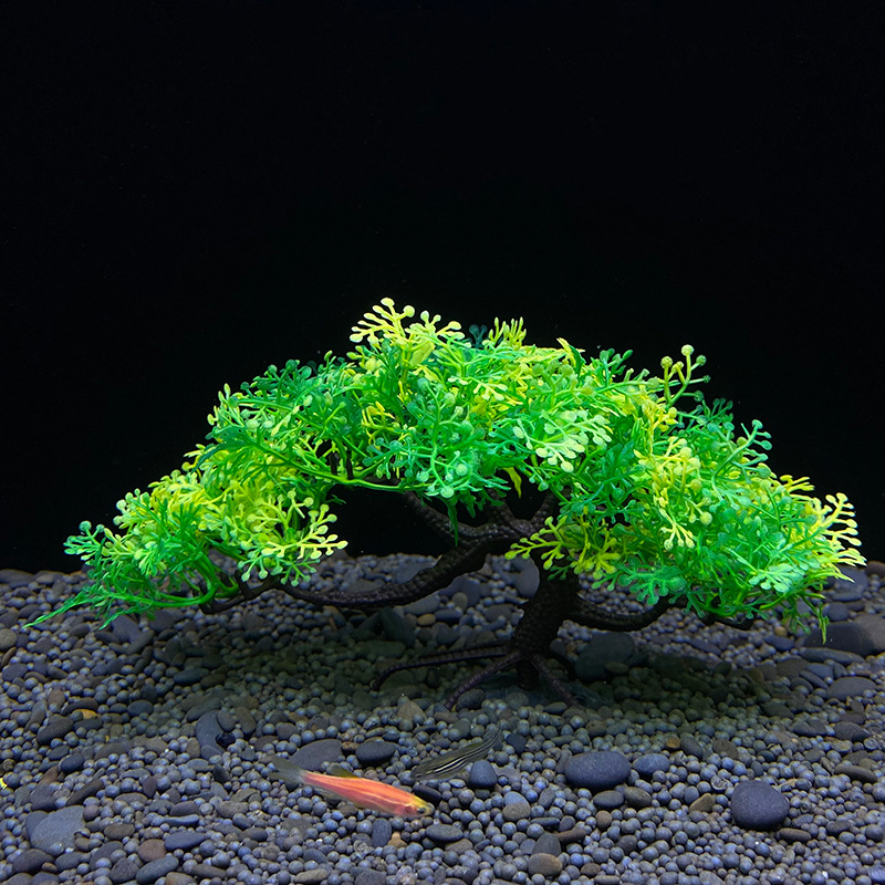 Aquarium Bonsai Tree, Plant, F - Aquarium Plant Seeds recension och pris
