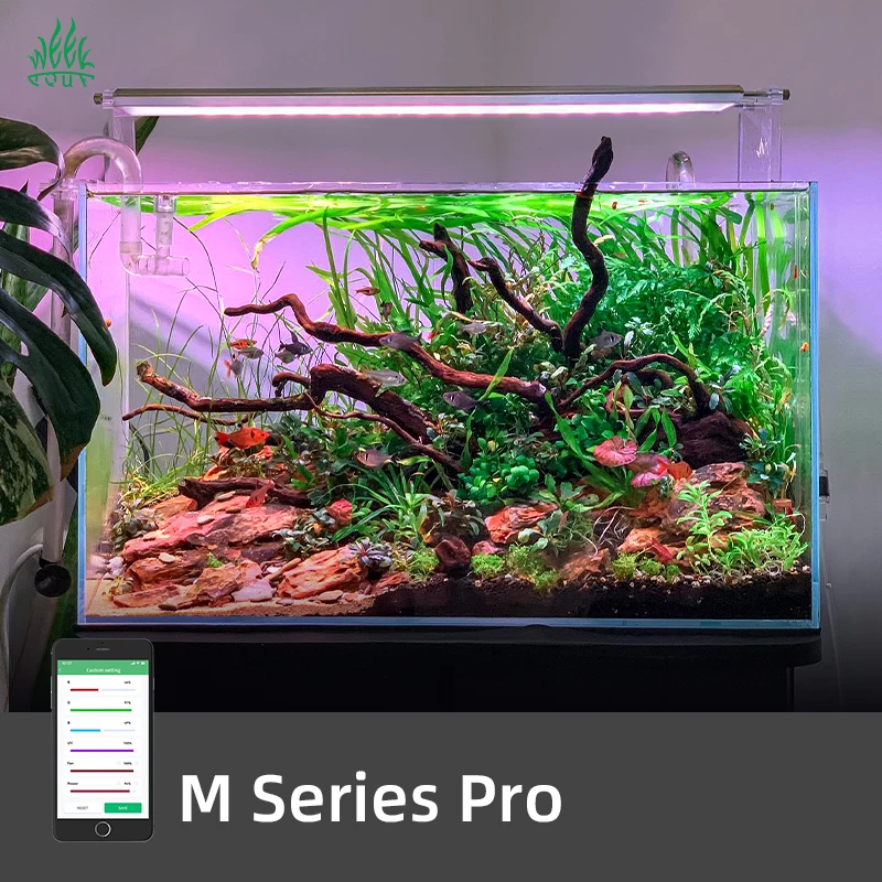 ZXY Hot Sales WEEK AQUA M1200P - Aquarium Plants For Sale recension och pris