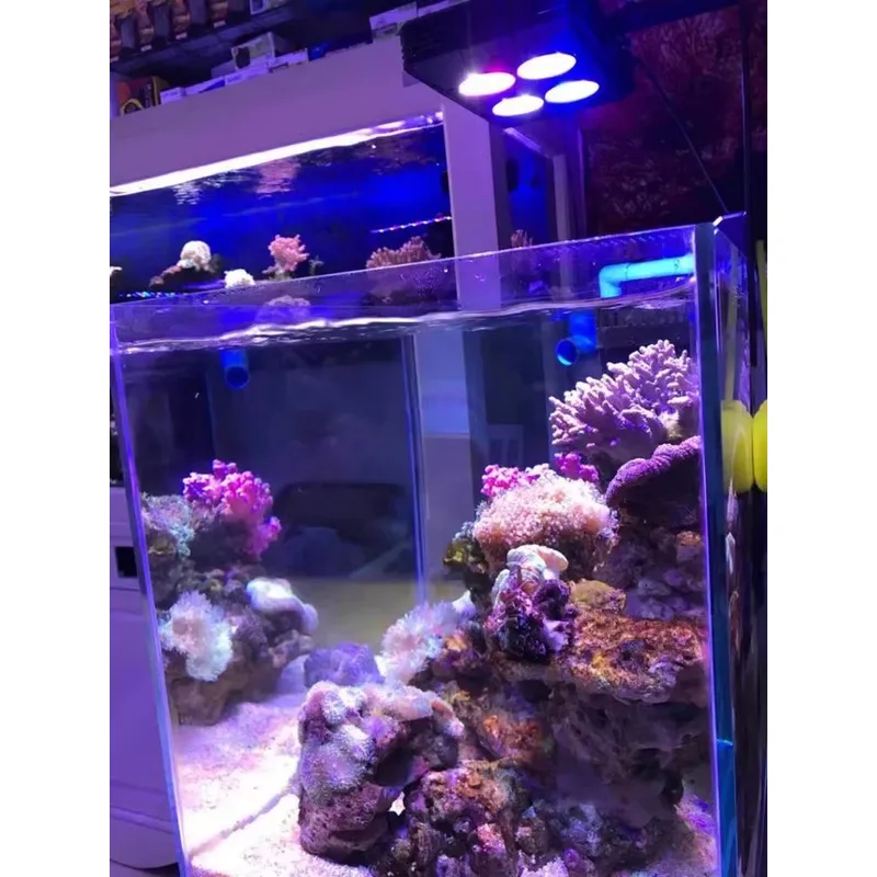 Gako A052 52w Hot Sale Aquariu - Aquarium Plants For Sale recension och pris