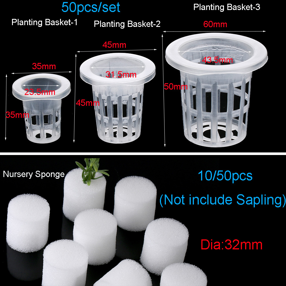 10/50pcs Durable Planting Aqua - Aquarium Plant Seeds recension och pris