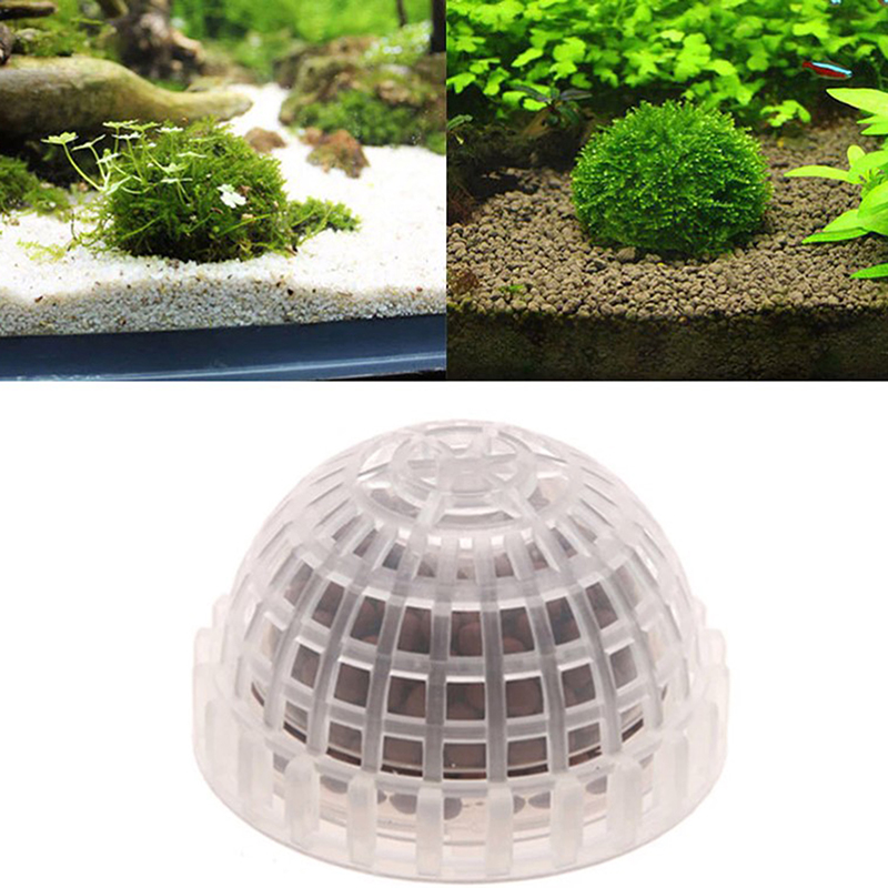【B】Aquatic Pet Supplies Decora - Aquarium Plant Live recension och pris