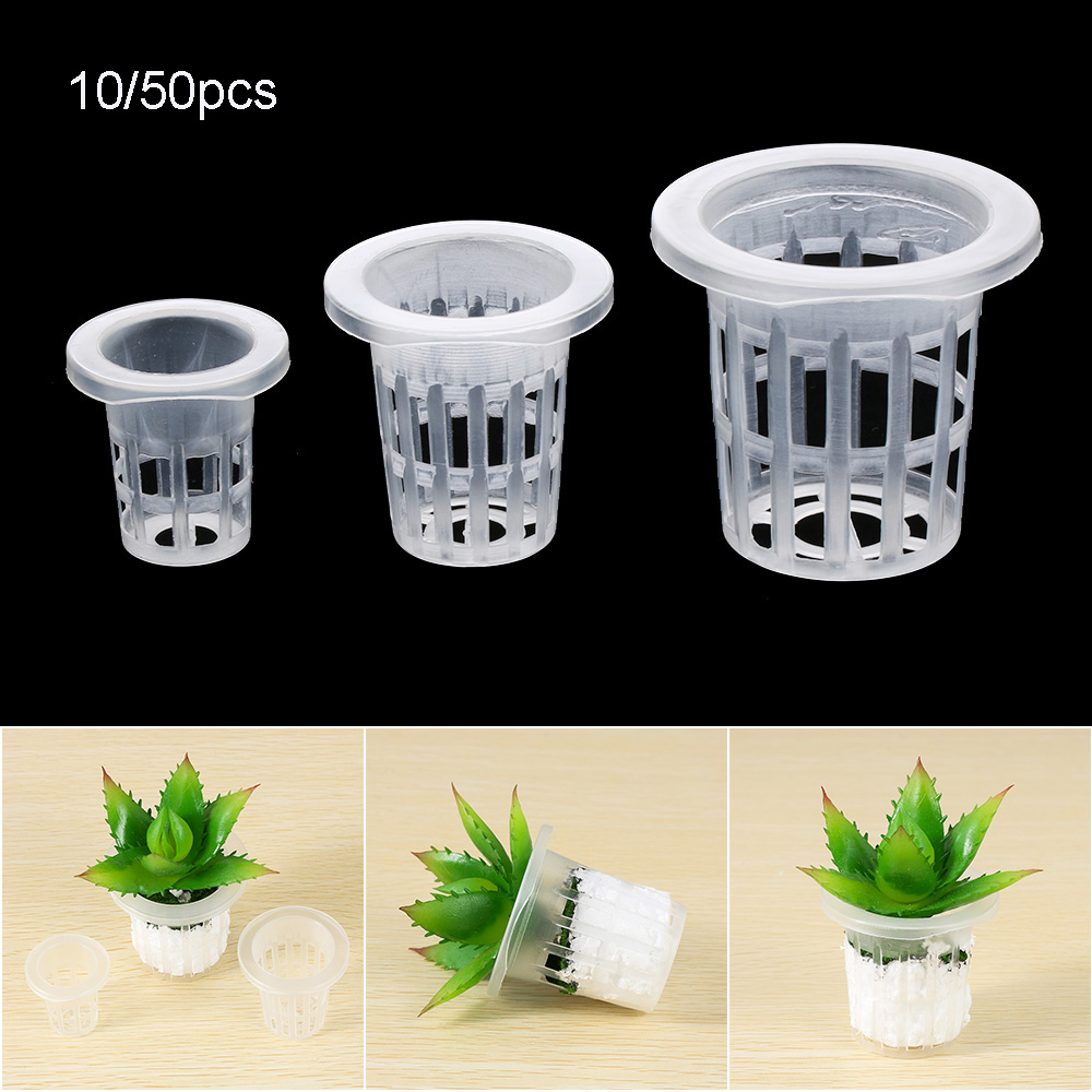 10/50pcs Garden Supplies Plant - Aquarium Plant Seeds recension och pris